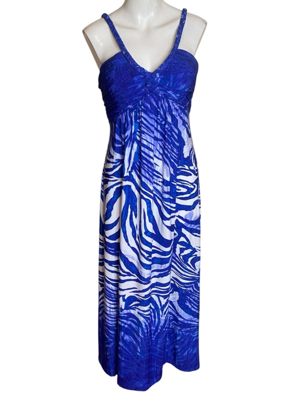Boston Proper Blue and White Maxi Dress